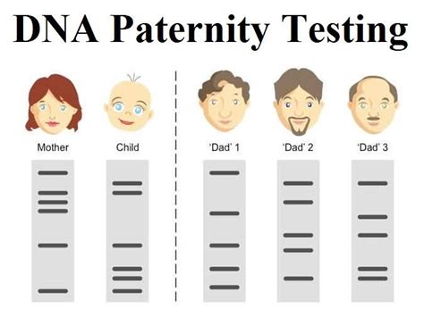 how to read paternity test results|How to Understand your Paternity Test Results: Comprehensive .
